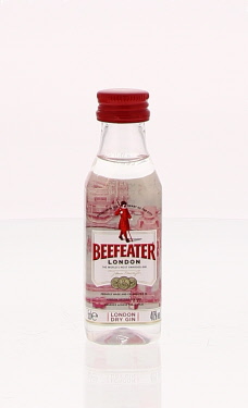 Beefeater 5cl 40º PET x120