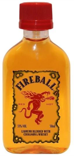 [L506.120] Fireball 5cl 33º PET x120