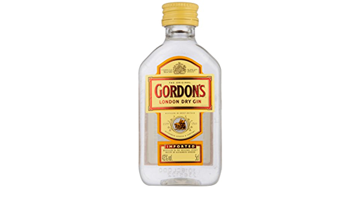 [G348.192] Gordon's 5cl 40º PET x192